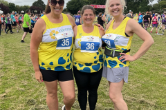 Runners For Primrose